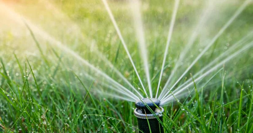 Why Should People Place Dripline Irrigation in The Garden?